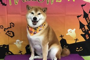 10月のお友達☆