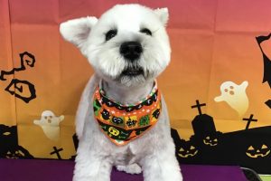 10月のお友達☆