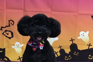 10月のお友達☆