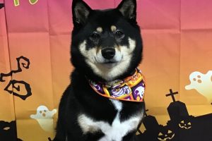 10月のお友達☆