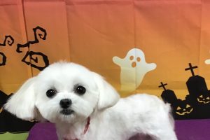 10月のお友達☆