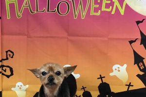 １０月のお友達☆