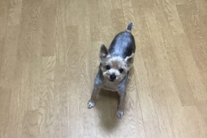 お泊り中☆