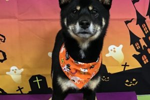 10月のお友達☆