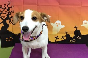 10月のお友達☆