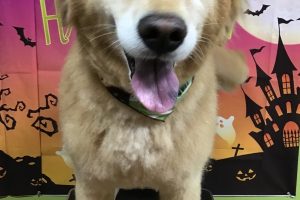 10月のお友達☆