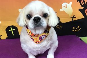 10月のお友達☆