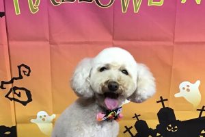 10月のお友達☆
