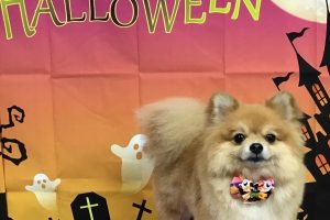 10月のお友達☆