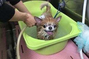 10月のお友達☆