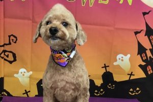 10月のお友達☆