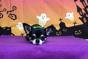 10月のお友達☆