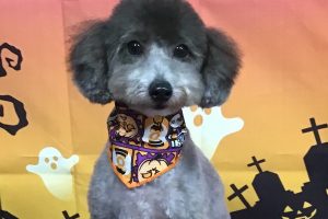 10月のお友達☆