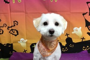 10月のお友達☆