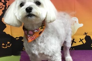 10月のお友達☆