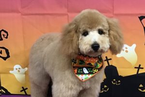 10月のお友達☆
