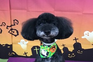 10月のお友達☆