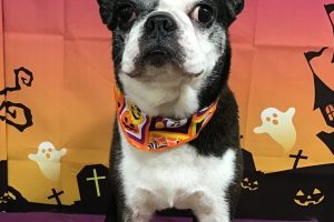 10月のお友達☆