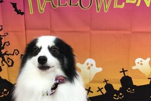 10月のお友達☆