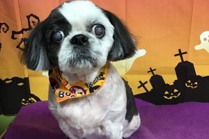 10月のお友達☆