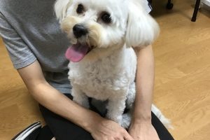 お泊り中☆