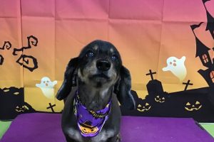 10月のお友達☆