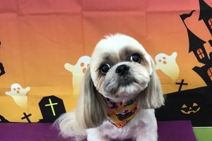 10月のお友達☆