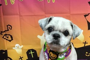 10月のお友達☆