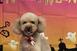 10月のお友達☆