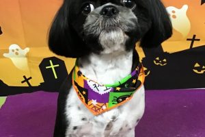 10月のお友達☆