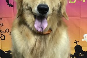 10月のお友達☆