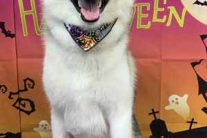 10月のお友達☆