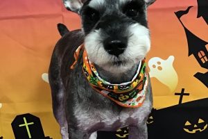 10月のお友達☆