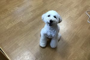 お泊り☆