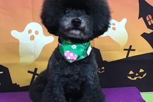 10月のお友達☆