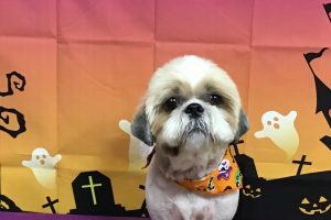 10月のお友達☆