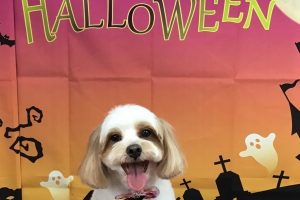 10月のお友達☆