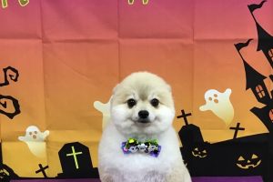 10月のお友達☆