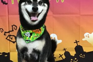 10月のお友達☆