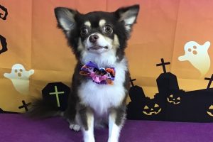 10月のお友達☆