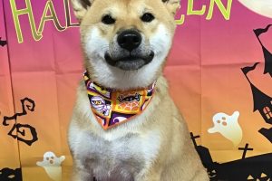 10月のお友達☆