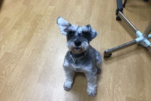 お泊り☆