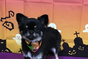 10月のお友達☆