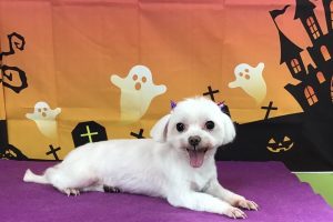 10月のお友達☆