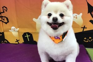 10月のお友達☆