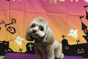 10月のお友達☆
