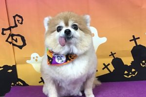 10月のお友達☆