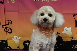 10月のお友達☆