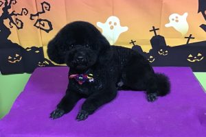 10月のお友達☆
