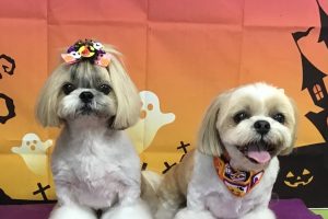 10月のお友達☆